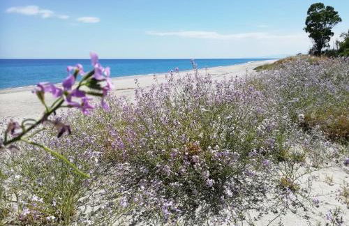 Panoramico, in villa, grande, con ampie terrazze - Foto 66