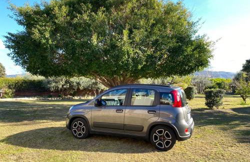 La Casa di Lina - Capo d'Orlando, casa con ampio giardino - Foto 37