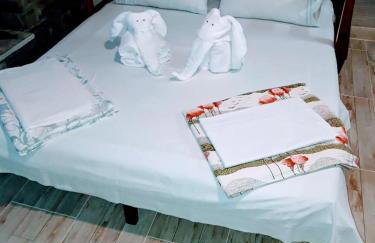 Studio Sunday morning Μούρεσι Πηλίου - Foto 21