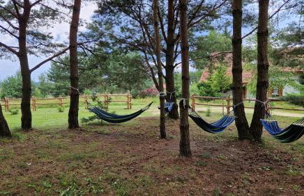 Wczasowe Wzgórze Swornegacie - Foto 4