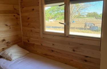 Cabanon au bord du petit Rhône - Foto 14