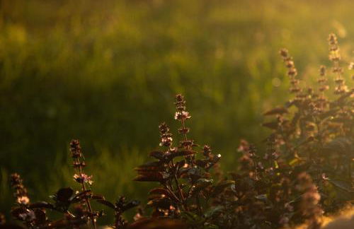 Agriturismo Le Forre del Treja (La Villa) - Foto 49