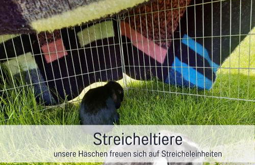 Bauernhof Finkel - Ferienwohnungen mit Balkon - Bergsicht - Traktor mitfahren - Tiere streicheln - entspannter Familienurlaub - zentrale Lage nahe Oberstdorf - Photo 36