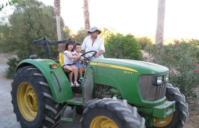 Finca Sa Cova Vella - Photo 46