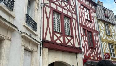 Magnifique appartement rénové Place du Martroi - Foto 4