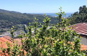 Bungalow Sixdays 3 - Photo 51