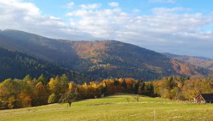 Apartamenty Marii Kawik - Foto 4