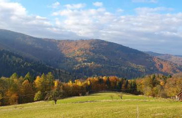 Apartamenty Marii Kawik - Foto 4