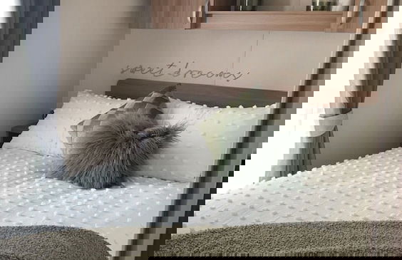 Remarkable 3-bed Caravan, Direct Beach Access - Foto 5