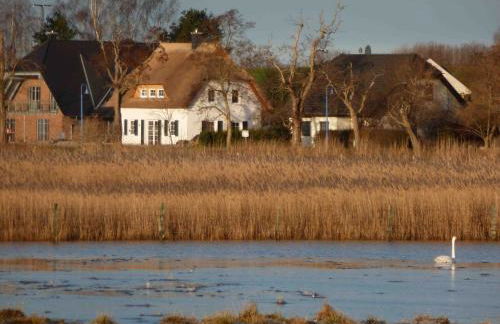 Reetdachhaus am Bodden Middelhagen - Foto 12