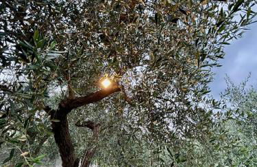 Charming Tuscany - Foto 21