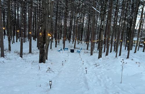 Evergreen Escapes 4 BR with Game Room, Firepit near Kalahari and Camelback - Foto 12