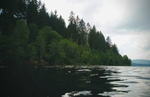 Ferienwohnung Hirschkopf - Foto 35