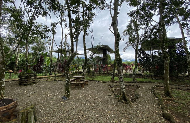 Eco Hotel Pata Palo - Foto 6