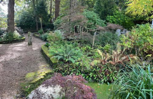 Lady Of The Lake - Foto 48