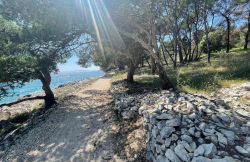 Luxury Seaside Villa with a classic Mediterranean Olive Garden, a fully equipped Professional Kitchen, Pool, Sauna, Padle Boards and Canoe - Miolin Beach House - Photo 75