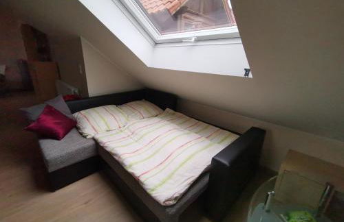 Studio und Apartment auf dem Pferdehof - Foto 14