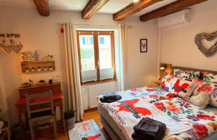 GITE LE COQ ROUGE - Foto 57
