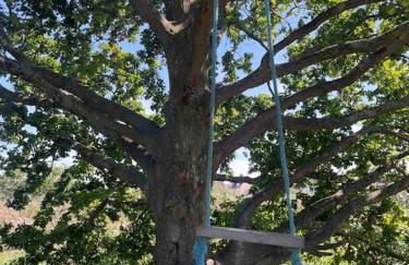 Charming Tudor riverside house - Foto 25