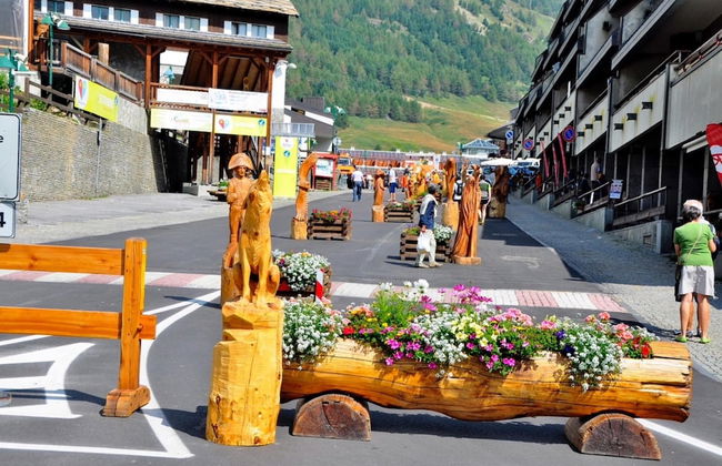 La Stella Alpina - Foto 23