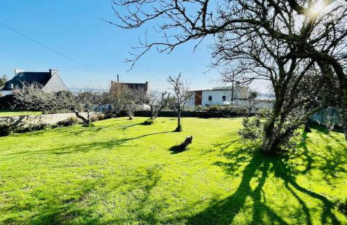 Le paradis bleu - Foto 11