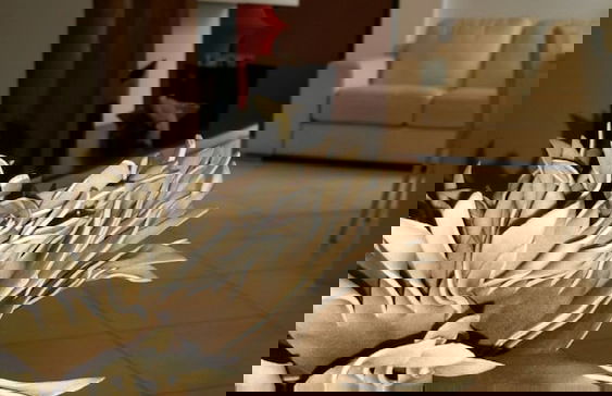 Vigne Vecchie - Foto 5