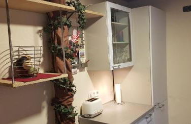 Elbe Ferien - Foto 56