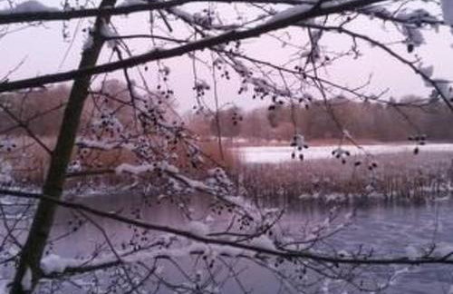 Apartment Turmwohnung by Interhome - Foto 16