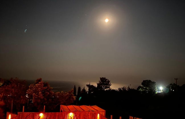 Likya Garden Life - Foto 7