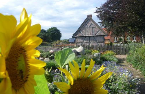 Hof Viehbrook - Foto 23