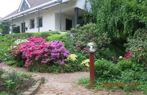 Wildgarten - Foto 14