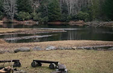 Beech Mountain Swiss-style Chalet - Foto 37