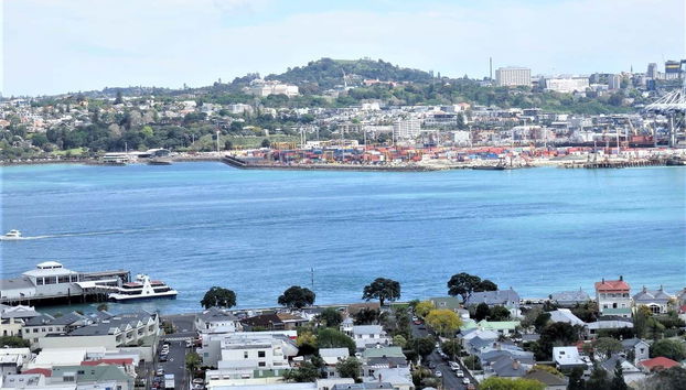 Auckland Full Day Tour - Photo 3, Panoramic view of Auckland