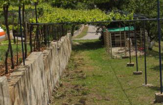 Apartments with parking space Trget, Rasa - 7687 - Foto 10