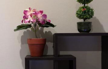 Ύδνα studios - Foto 23