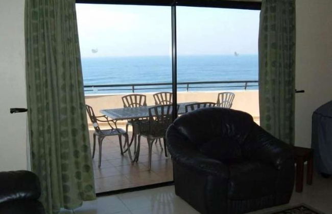 Lazy Lizard - Foto 17