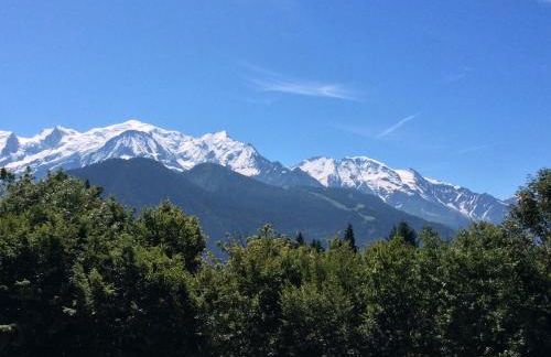 Fizhome Mt Blanc - Photo 8