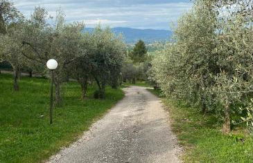 SetterHouseAgriHotel - Photo 33