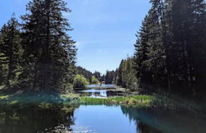 Serene Port Orchard Retreat - 3BR 3BA with Trails and Amazing Views - Foto 44