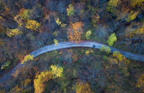 Nidi del faggio rosso - Family Holiday Home - Foto 45