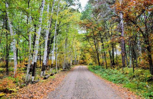 Crosslake Treetop Escape - Foto 21