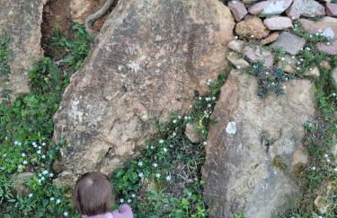 Trocito de Paraíso en la Sierra Espadán - Foto 23