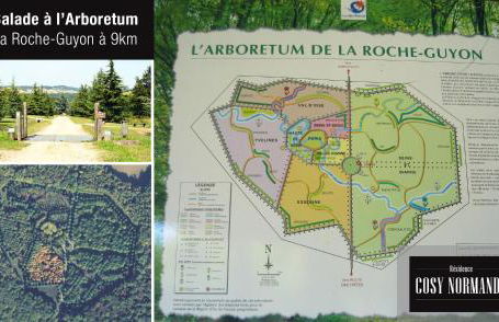 Cosy Normandy - 01 - Foto 33