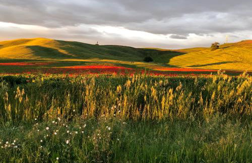 Tuscany Charme Boutique House - Foto 16