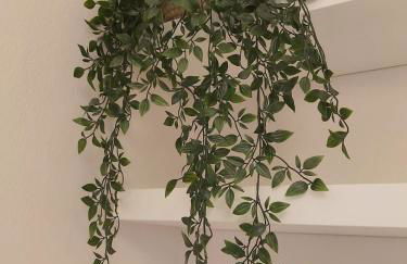 Les Capitouls - avec entrée autonome, clim neuve, jardin, parking privé & sa piscine ! - - Foto 19