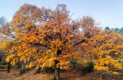 Les Hauts de Saint Privat - Foto 25