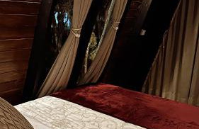 Chalé Refúgio da Mata - Foto 29