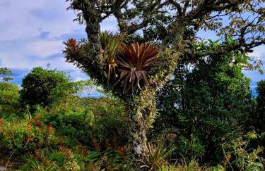 Chalé do Lopo - Photo 72