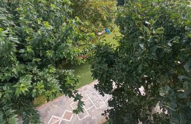 Η Αυλή - Photo 9