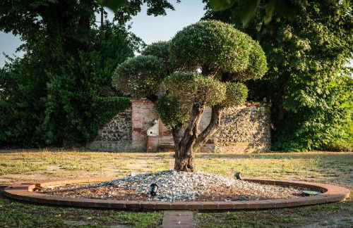 Résidence de Diane - Toulouse - Photo 33